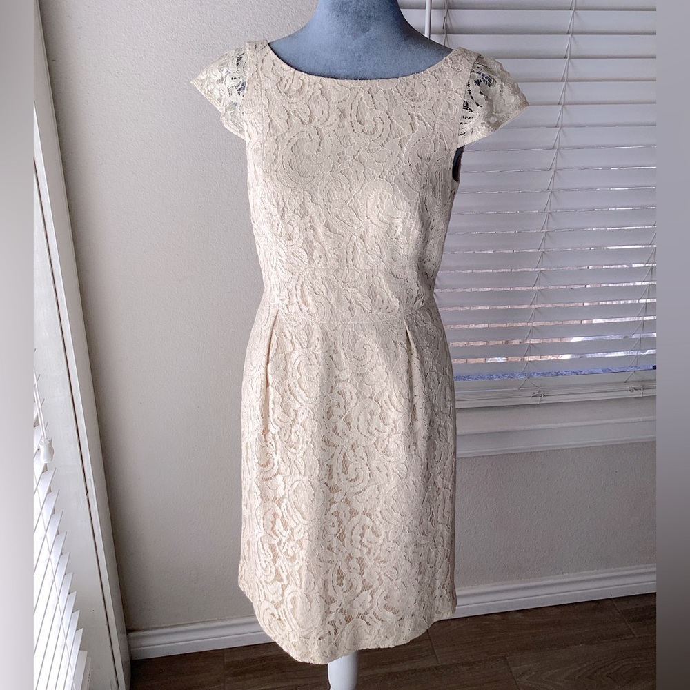 NWT J. Crew Champagne Elsa Dress Size 4
